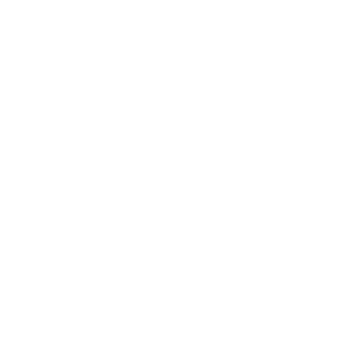 customer-review
